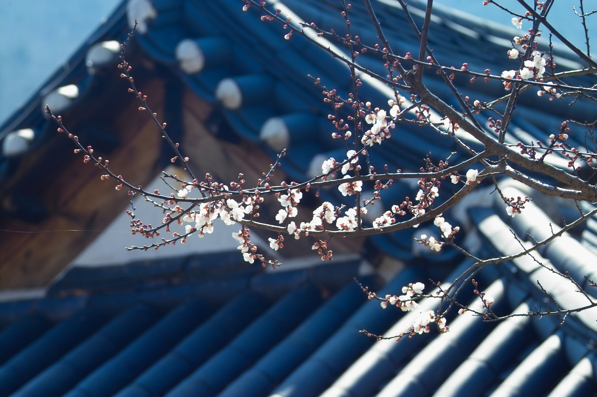 2000769928_JbtEwd18_1e04cbf3fab8b0623719b075766c770f4f46f422.jpg 이미지크게보기